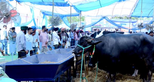 August Gathering at Pashu Palan Mela of Guru Angad Dev Veterinary & Animal Sciences University, Ludhiana 